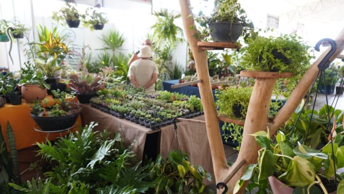 WhatsApp-Image-2025-04-10-at-15.06.12-1536x864