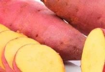 Cinco alimentos para se consumir antes do treino noturno
