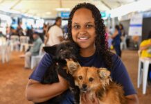 GDF Mais Perto do Cidadão retorna pela quinta vez a Ceilândia com novidades