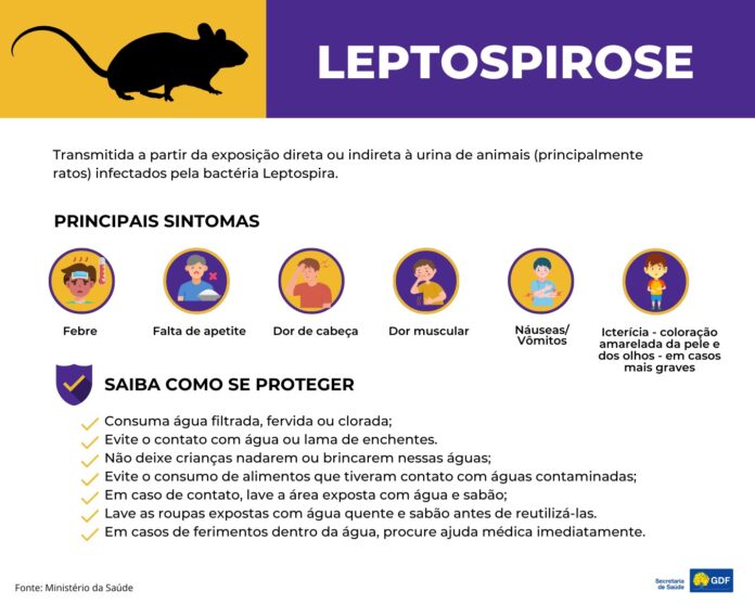 12.11. Leptospirose-2-Arte_Agencia-Saude-DF
