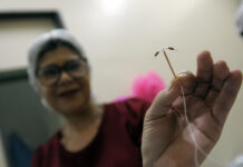 UBS 7 de Taguatinga possibilita inserção de DIU para mais 50 mulheres