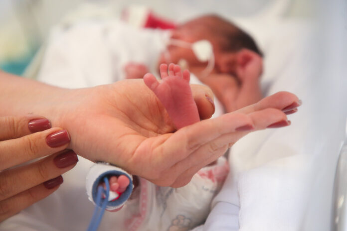 54139728715_e3e3200700_k