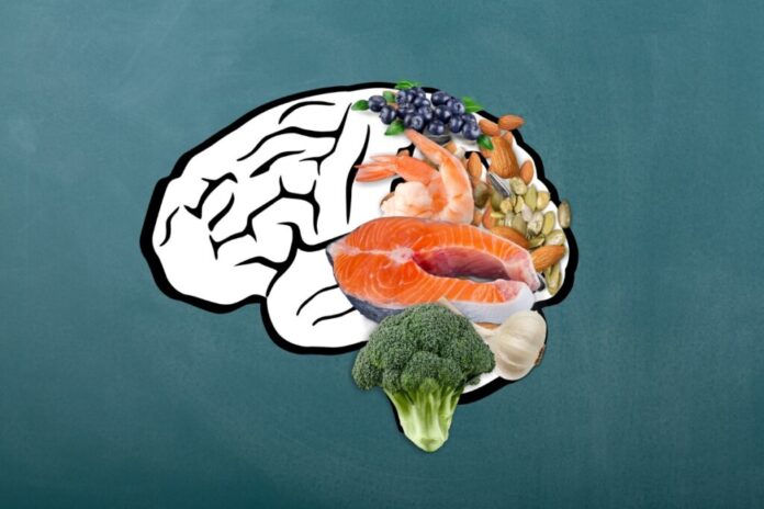 Alimentacao-saude-cerebro-1024x683