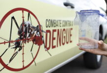 GDF mobiliza esforços no Dia D Contra a Dengue