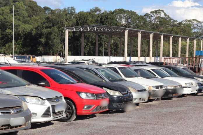 Francisco_Eduardo_Carvalho (AscomDetranDF)3 (2)