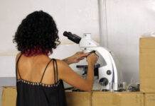 GDF reforça estrutura de diagnóstico com 13 novos microscópios
