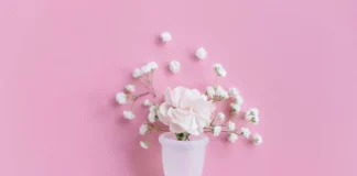 Cannabis medicinal avança como aliada no alívio da cólica menstrual