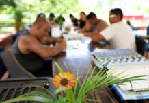 Atendimento na atenção psicossocial tem aumento de 15% no DF