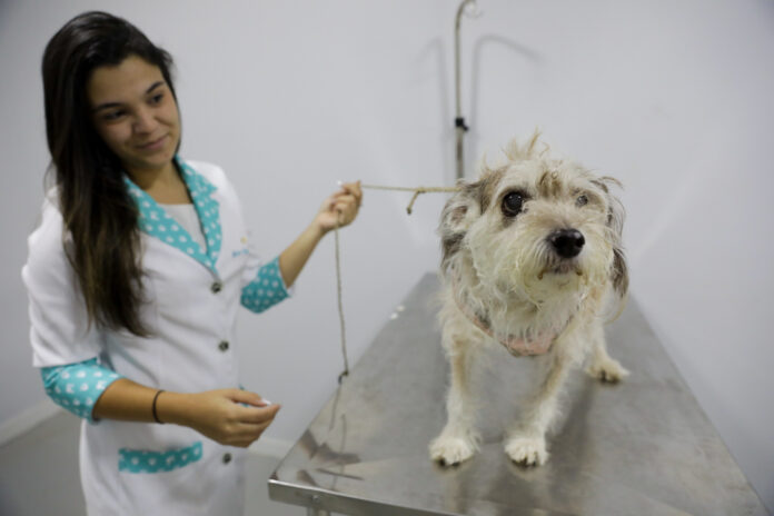 54105382393_5e6c254384_k