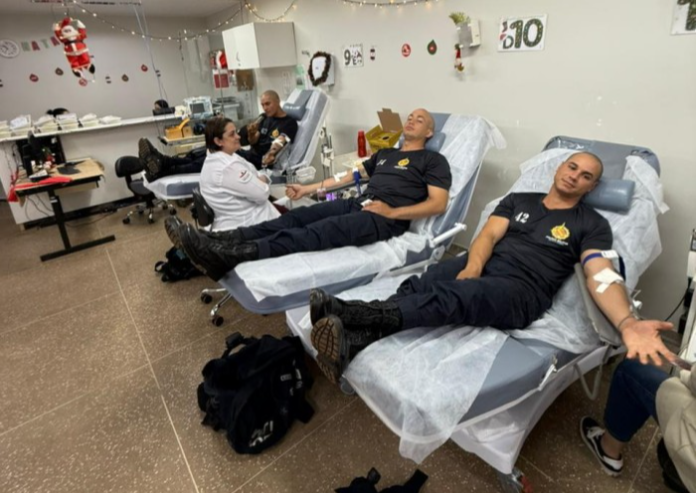 WhatsApp Image 2025-12-08 at 14.42.45 (1)