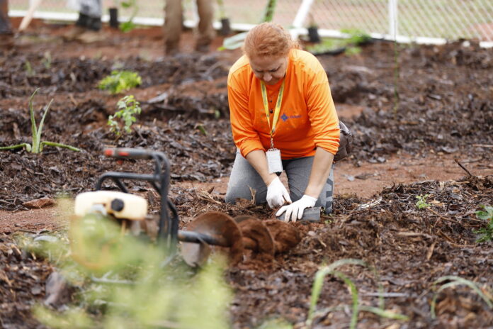 21.1. APS. Foto Matheus Oliveira Agência Saúde-DF2