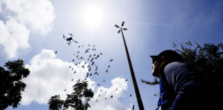 Dengue: equipes de saúde visitam mais de 1,8 milhão de residências em 2025