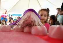 Ceilândia receberá programa de saúde bucal para atender 1,5 mil estudantes da rede pública