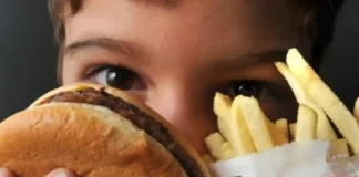 Estudo revela que fast food na infância tem impacto no cérebro adulto