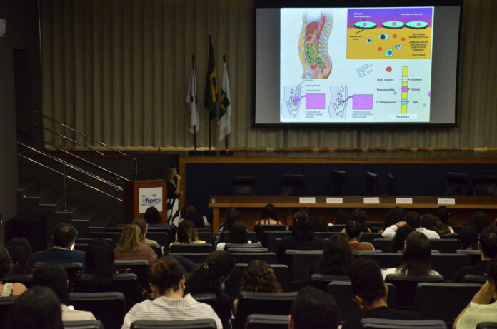 27.3. Foto Yuri Freitas Agência Saúde-DF2