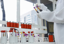 Novo exame para detectar gravidez reduz tempo de diagnóstico