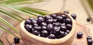 Açaí: entenda como a fruta pode impactar o cérebro e o humor