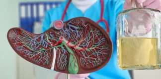 Entenda como o consumo excessivo e ocasional de álcool é um risco para o fígado