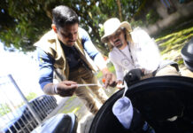 Chikungunya: rede pública do DF oferece diagnóstico e alerta sobre sintomas