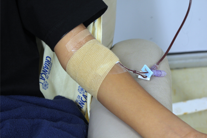 Transfusão de sangue - foto Ana Carolina Magela HCB (1)