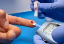 Microbiota intestinal ajuda a identificar diabetes precocemente