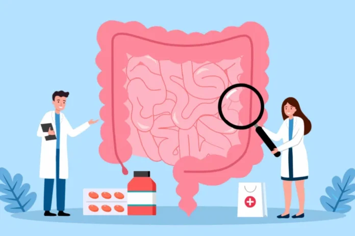 Saude-intestinal-1024x683.png