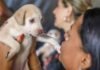 Campanha de castração de cães e gatos gratuita oferece 1,8 mil vagas na próxima semana