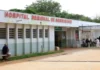Escorpiões: ataques explodem no DF e animais aparecem até em hospital