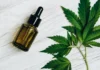 Primeira clínica social de cannabis medicinal do DF inicia inscrição