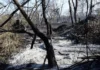 Fumaça de incêndio: como proteger a saúde respiratória no clima seco