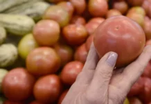 IPCA-15 de Brasília desacelera em outubro e traz alívio para o consumidor