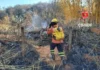 DF registra 39 incêndios em vegetação somente neste sábado (10/10), diz CBMDF