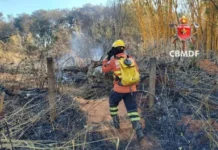 DF registra 39 incêndios em vegetação somente neste sábado (10/10), diz CBMDF